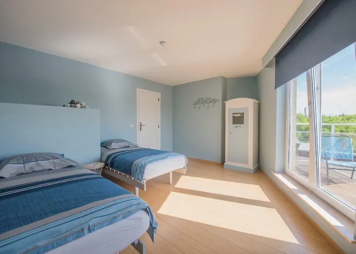 Point De Vue De Haan